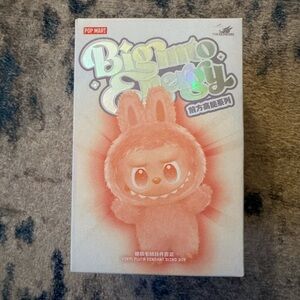 Pop Mart The Monsters (Labubu) Big Into Energy Vinyl Plush Blind Box V3